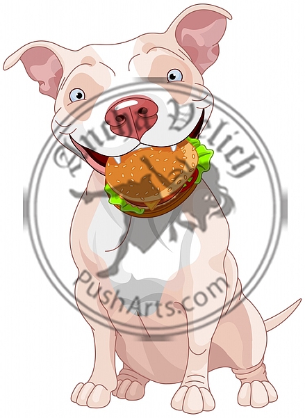 Pit Bull Dog Eats Hamburger