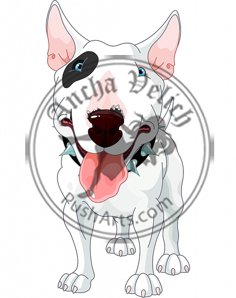 Bull Terrier