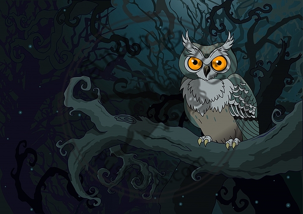 Night owl