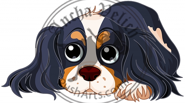 Spaniel Dog