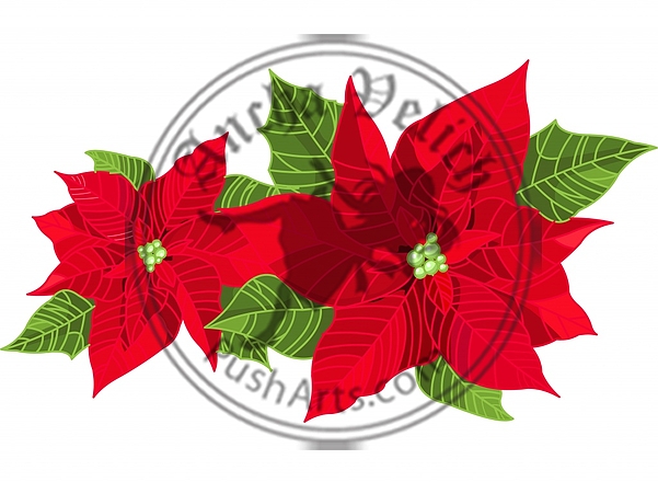 Christmas decoration poinsettia