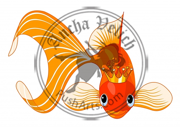 Goldfish queen