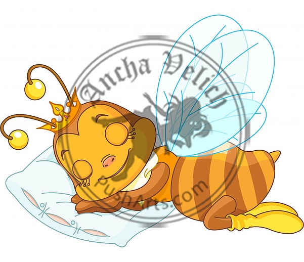 Sleeping bee