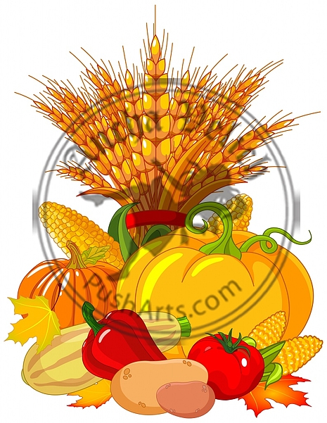 Thanksgiving Harvest Design