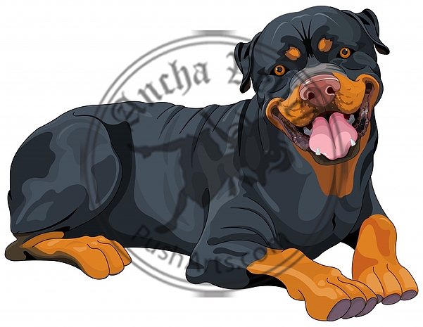 Rottweiler