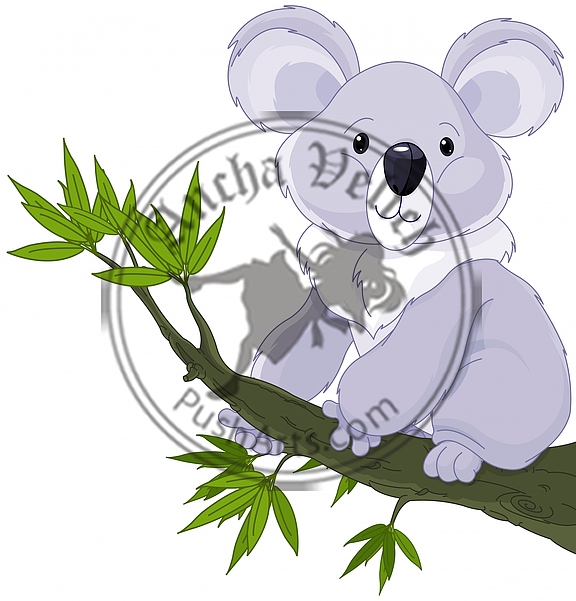 Koala on a Tree
