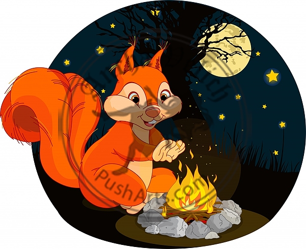 Squirrel campfire