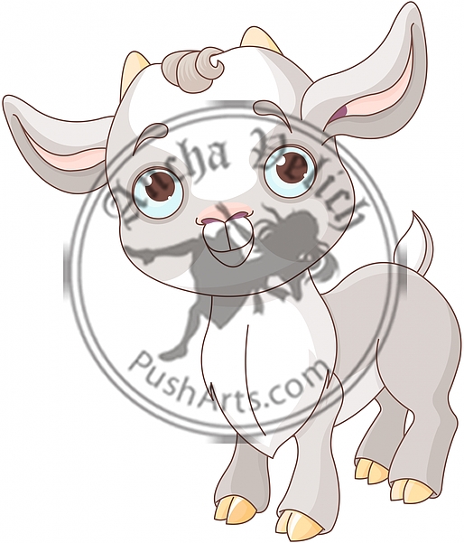 Baby Goat