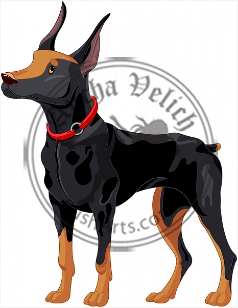 Doberman guard dog
