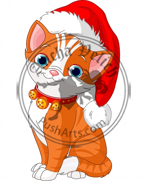 Christmas cat