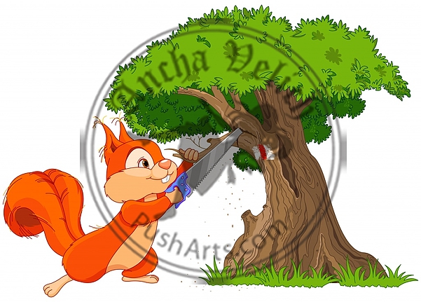 Funny squirrel saws branch