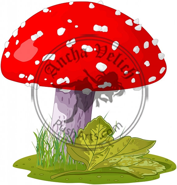 Amanita