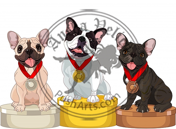 Winners of Dog competition