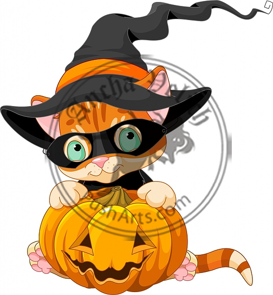 Cute Halloween Kitten