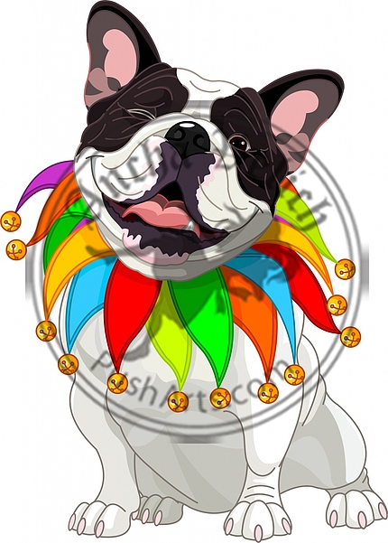 French bulldog wearing a colorful collar