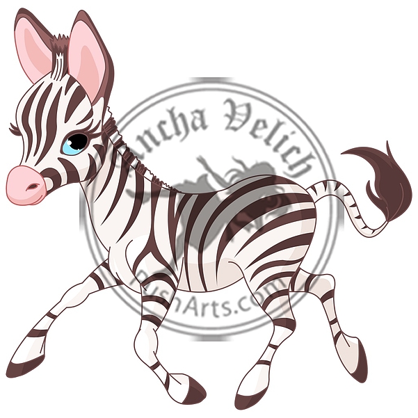 Cute running baby Zebra