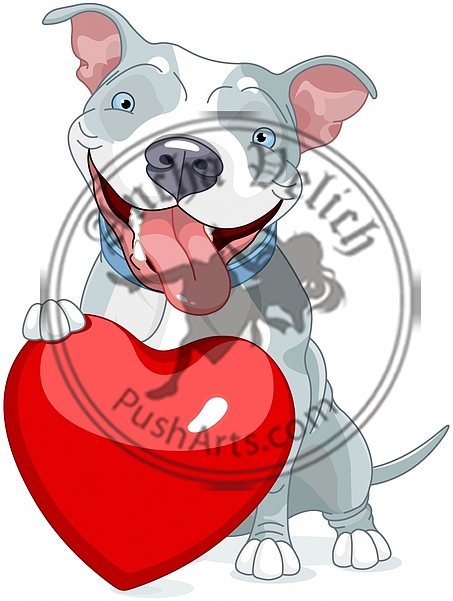 Valentine Pit Bull Dog