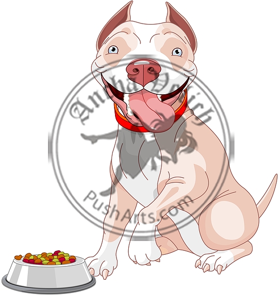 Hungry Pit-bull