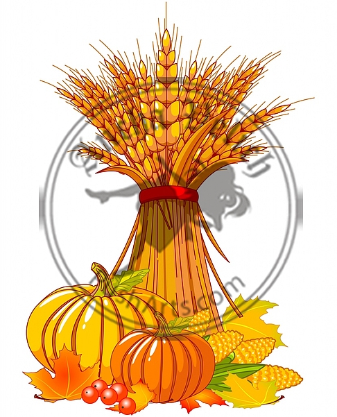 Thanksgiving / harvest background