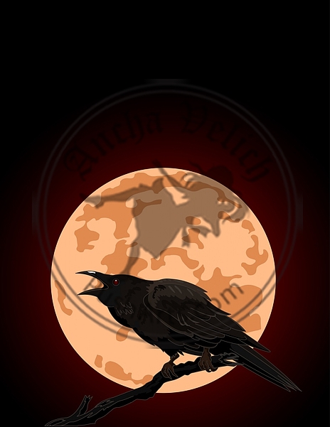 Crow Croaks against a Full Moon