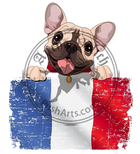 French bulldog fan