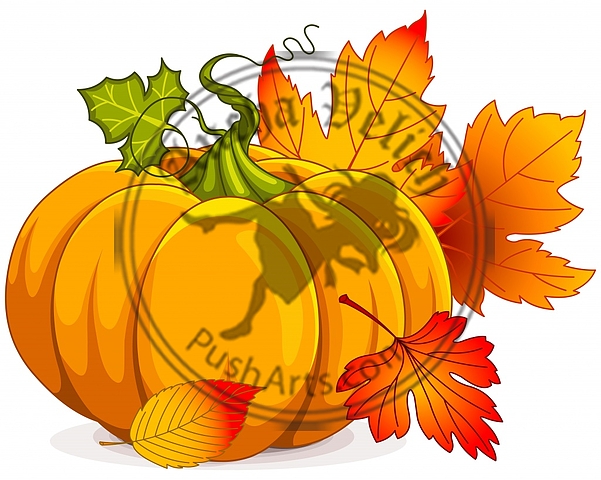 Autumn Pumpkin