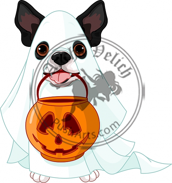 Halloween dog