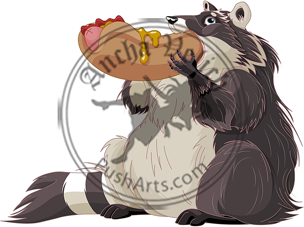 Funny Raccoon Eats Hotdog