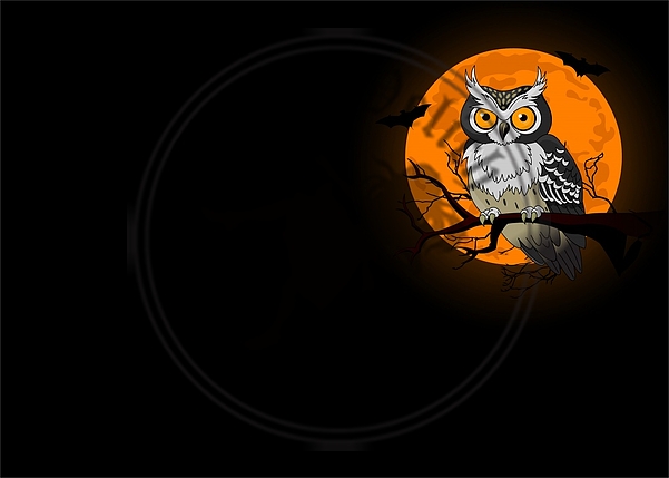 Night owl background