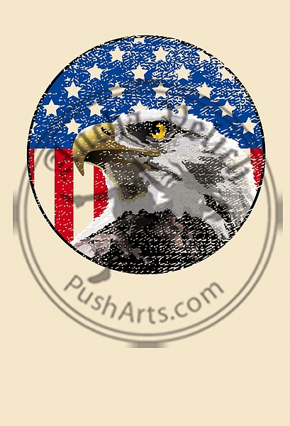 Bald Eagle American Flag