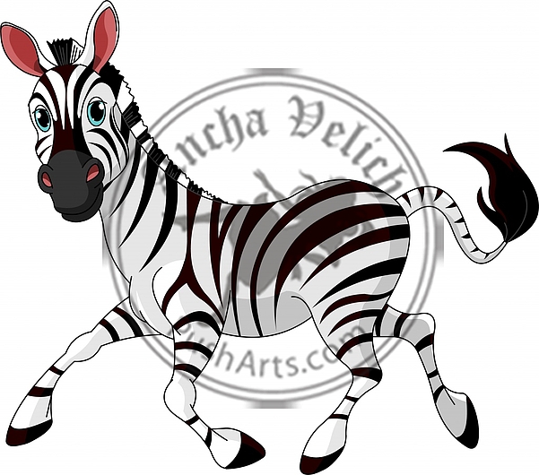 Funny running zebra