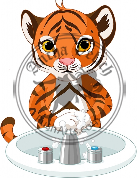 Little Tiger Washing Hands Little Tiger Washing Hands