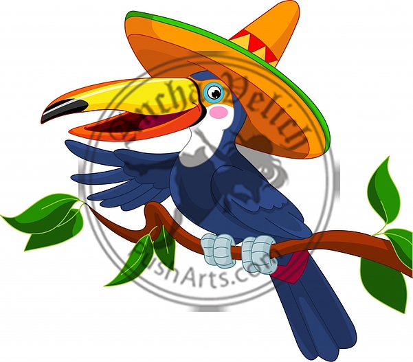 Toucan with sombrero