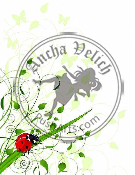 Spring  background with ladybug