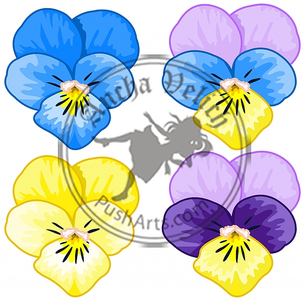 Set of Pansy