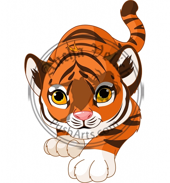 Crouching baby tiger