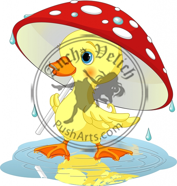 Duckling  under rain