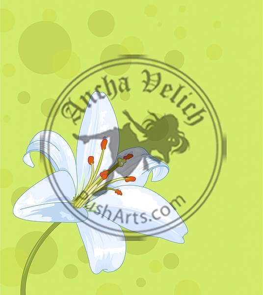 Beautiful lily seamless card