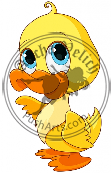 Baby Duck