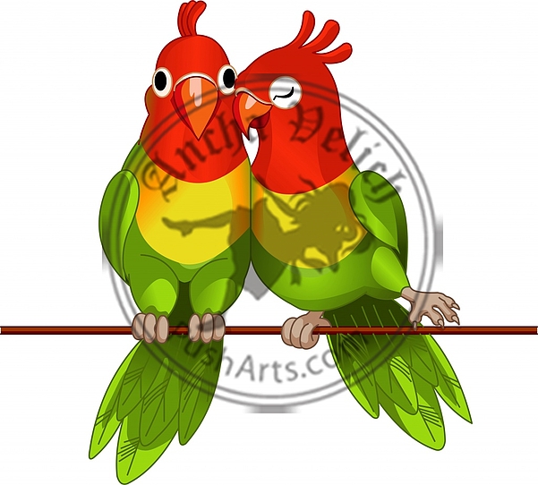 Pair of lovebirds