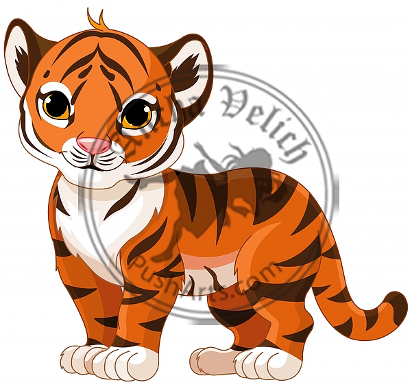 Baby Tiger