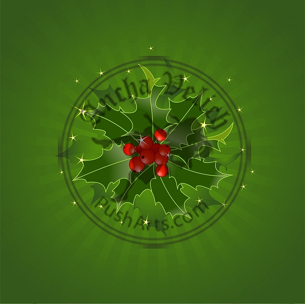 Christmas Holly On Green