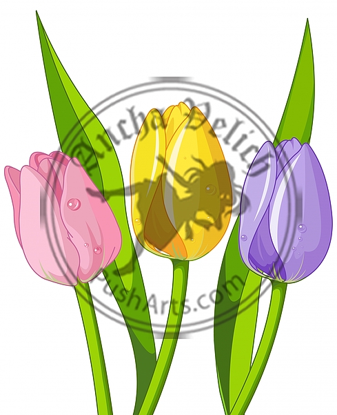 Bouquet of Tulips Bouquet of Tulips