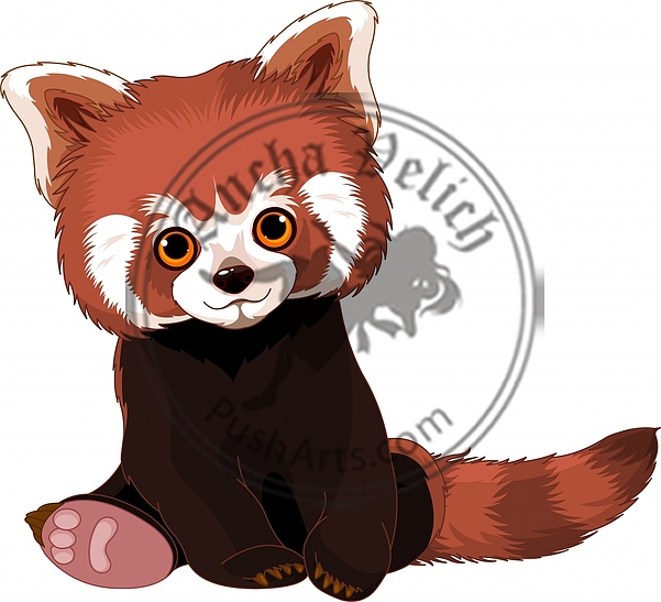 Cute Red Panda