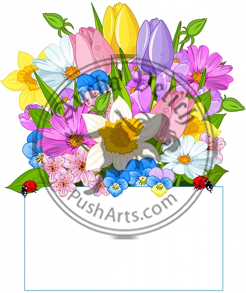 Colorful Fresh Spring Flowers