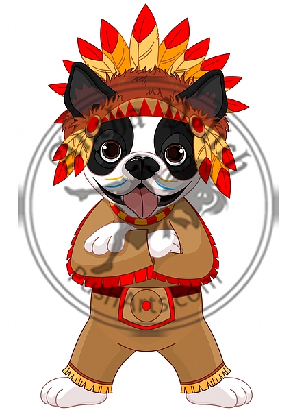 Native American Boston Terrier