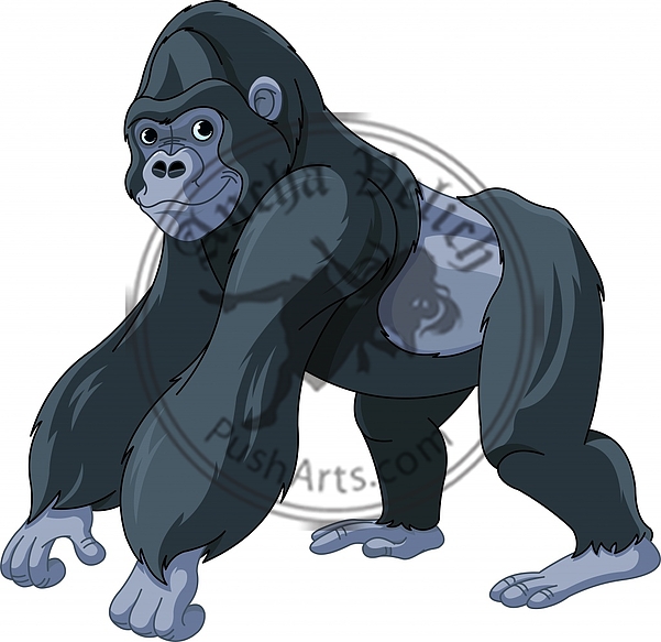 Gorilla