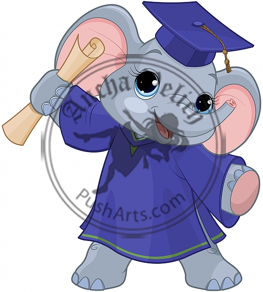 Elephant Graduates