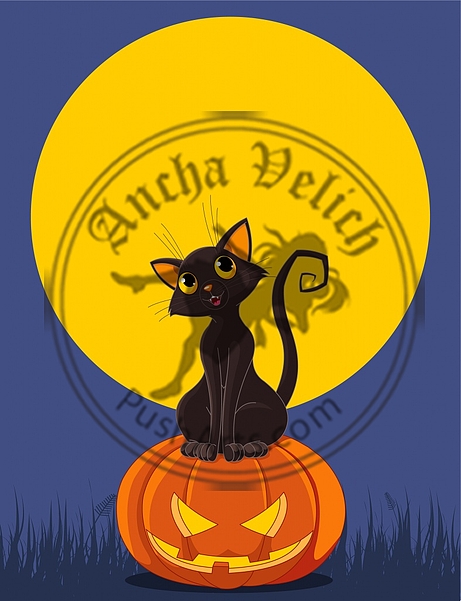 Halloween Cat on pumpkin