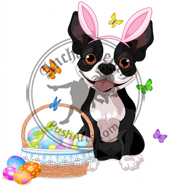 Boston terrier with Easter basket